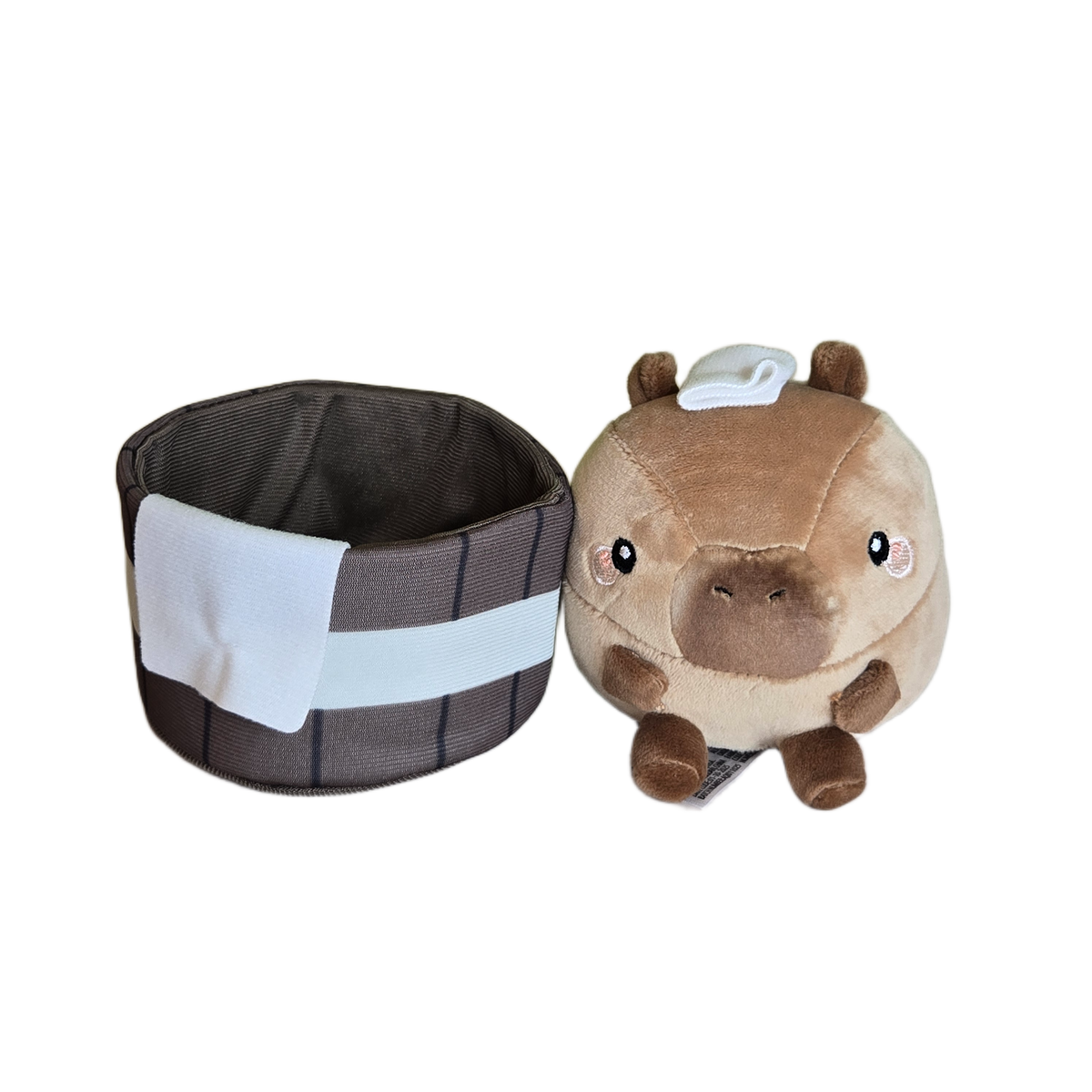 capy and spa