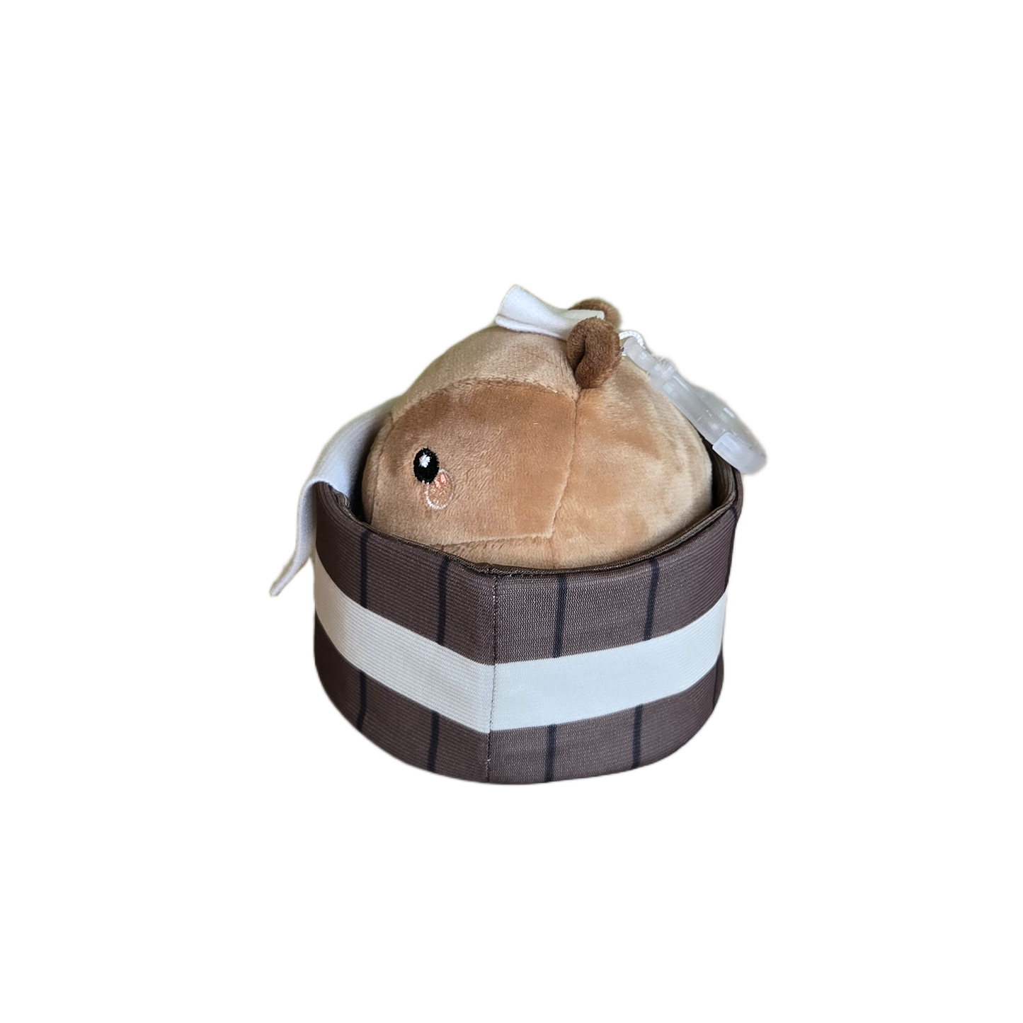 capy and spa