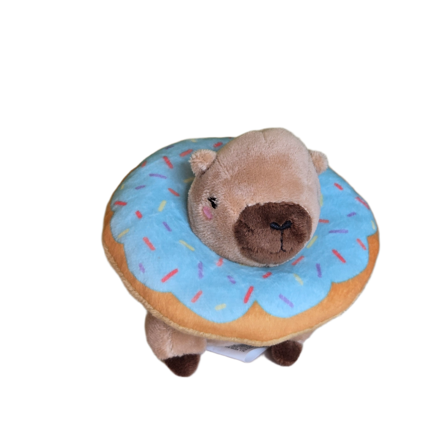 capy donut