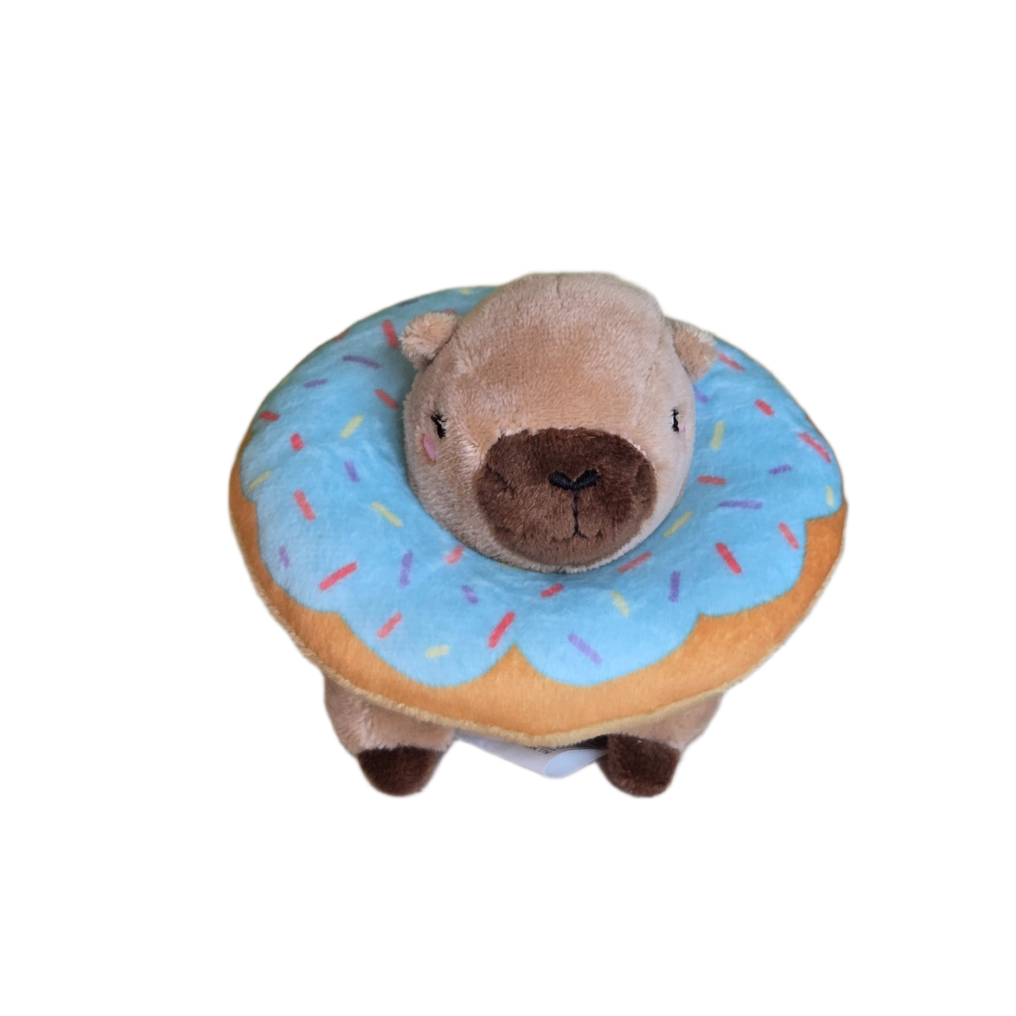 capy donut
