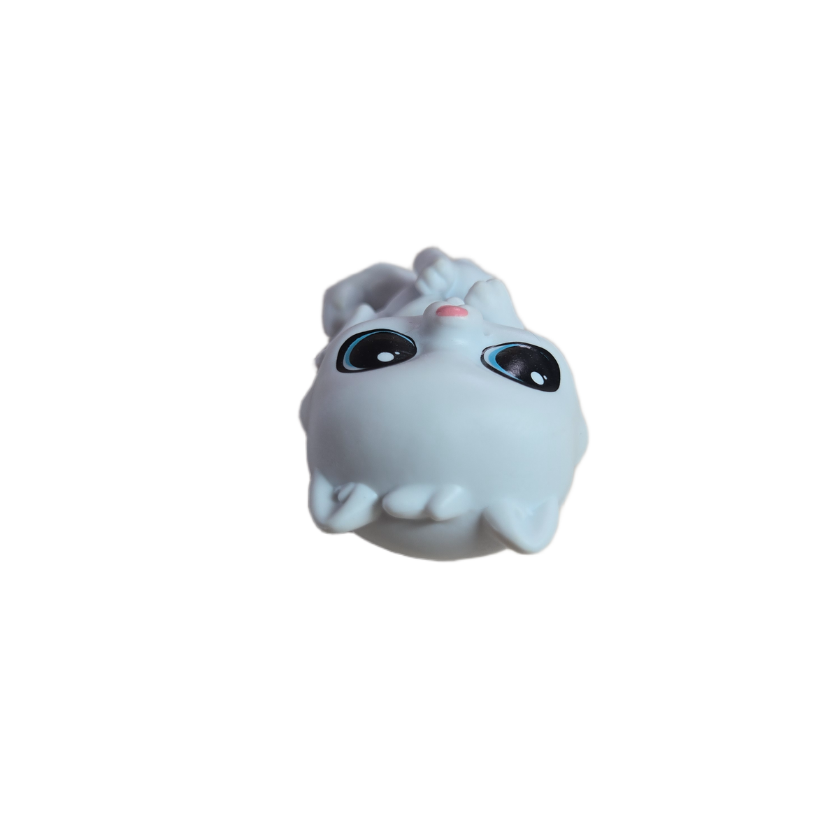 sugar