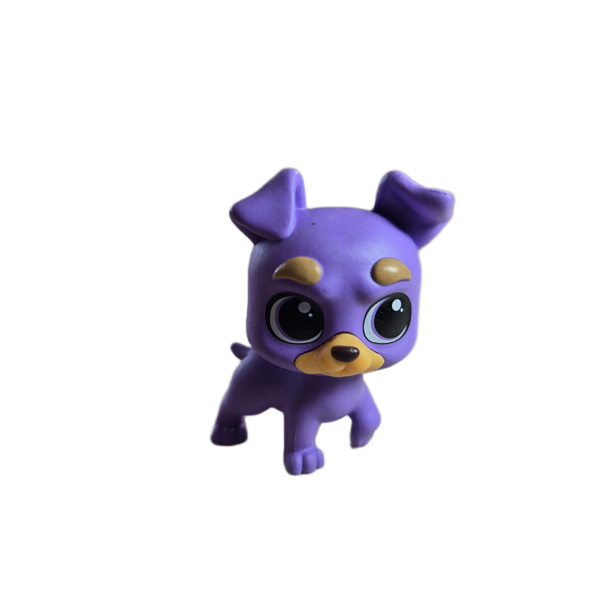 grape