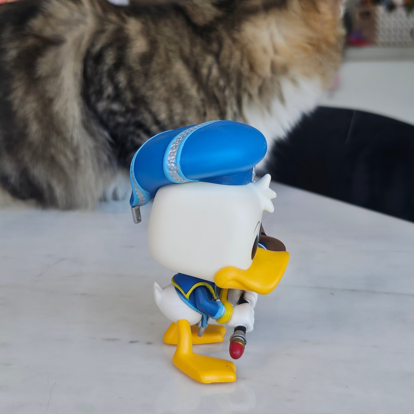 duck magician