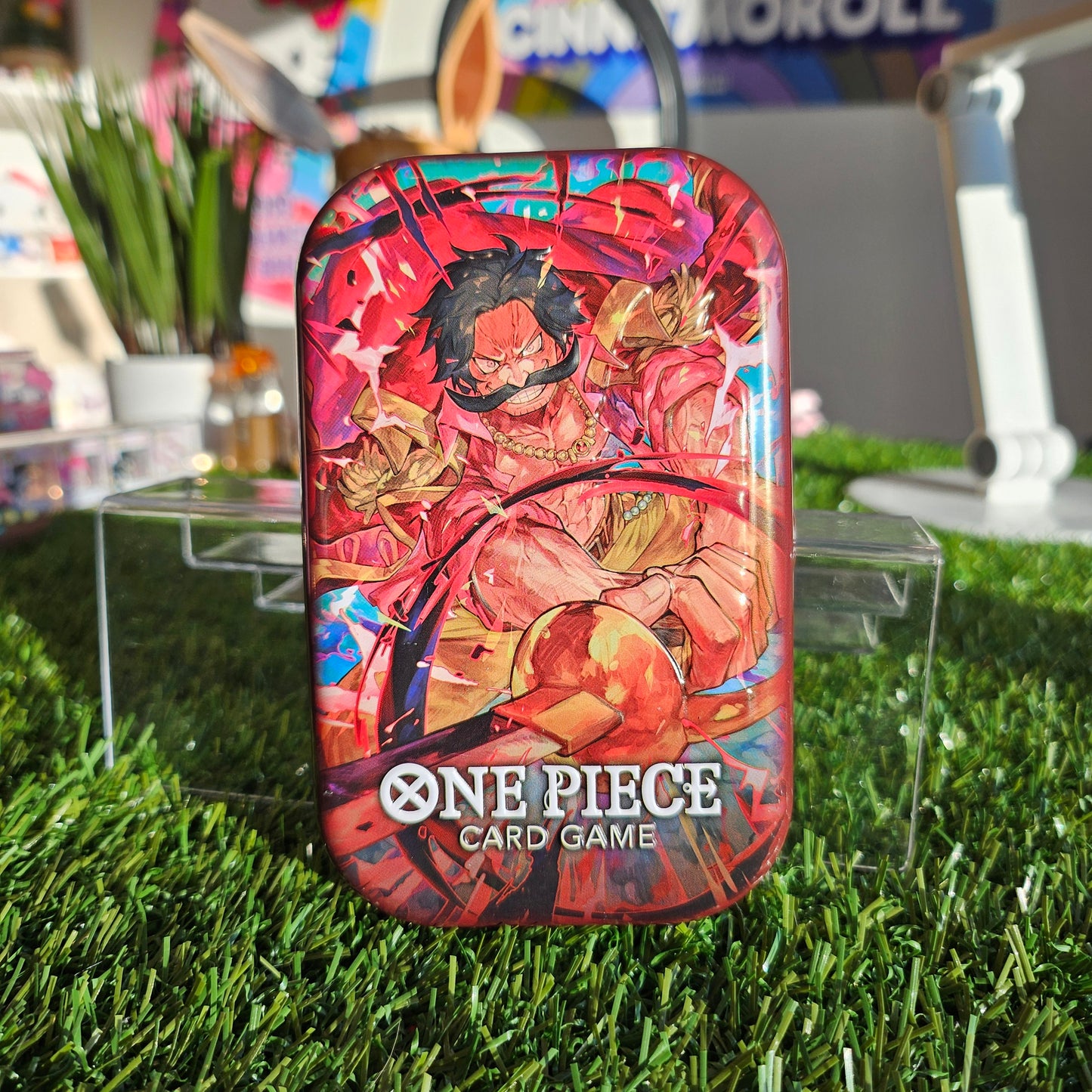 one piece tin (gold d roger)