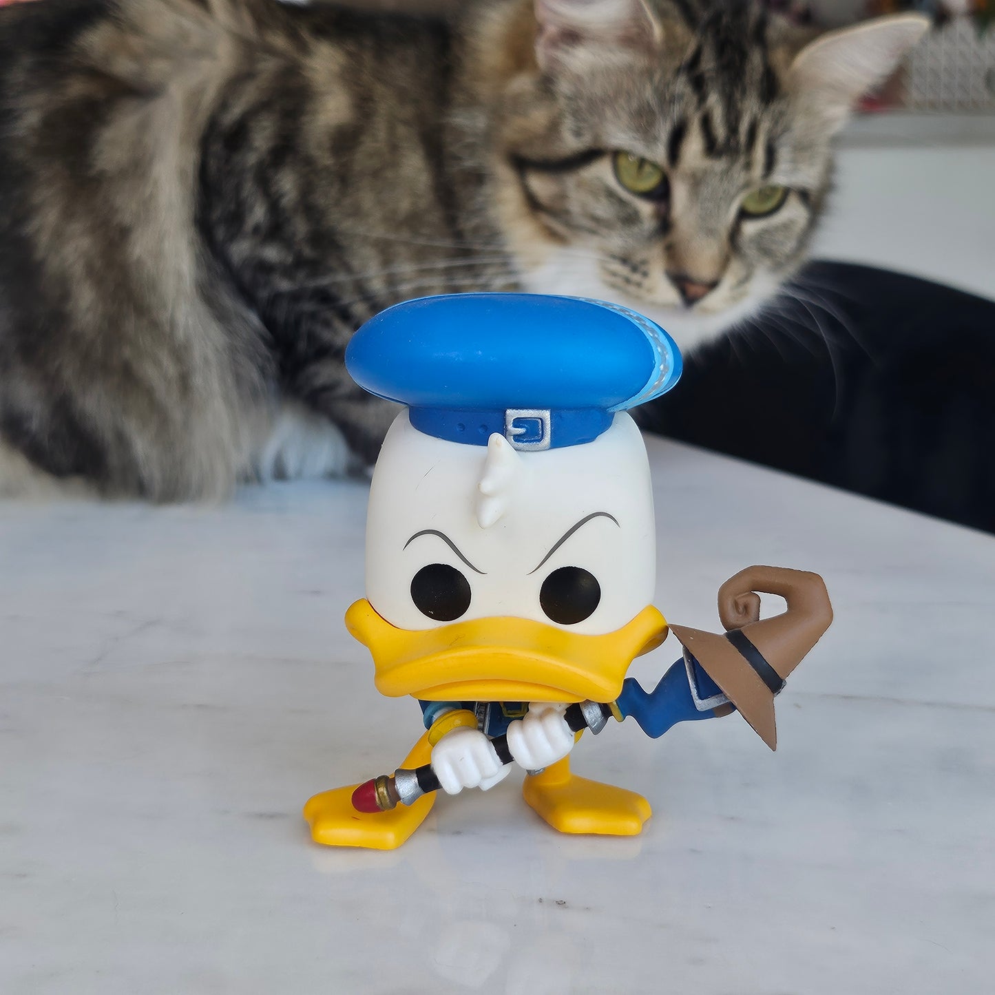 duck magician