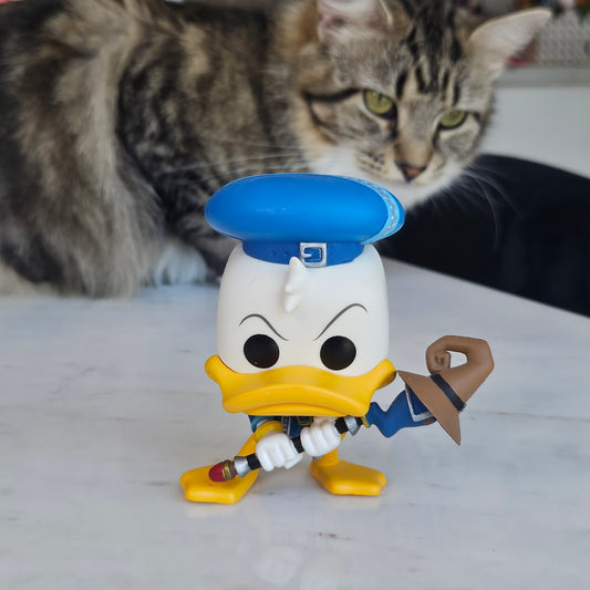 duck magician