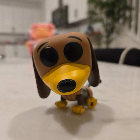 stretchy dog pop
