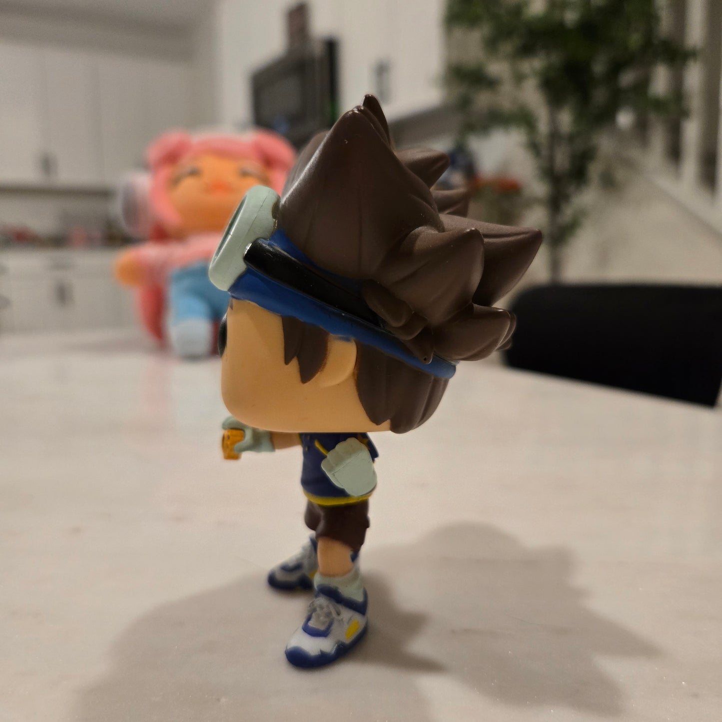 digimon tai pop